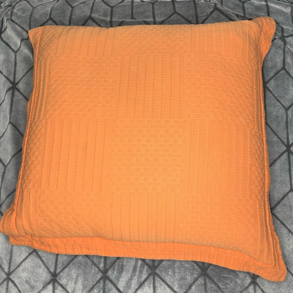 The Company Store Feather & Down Square European Euro Pillow Insert + Case 26in